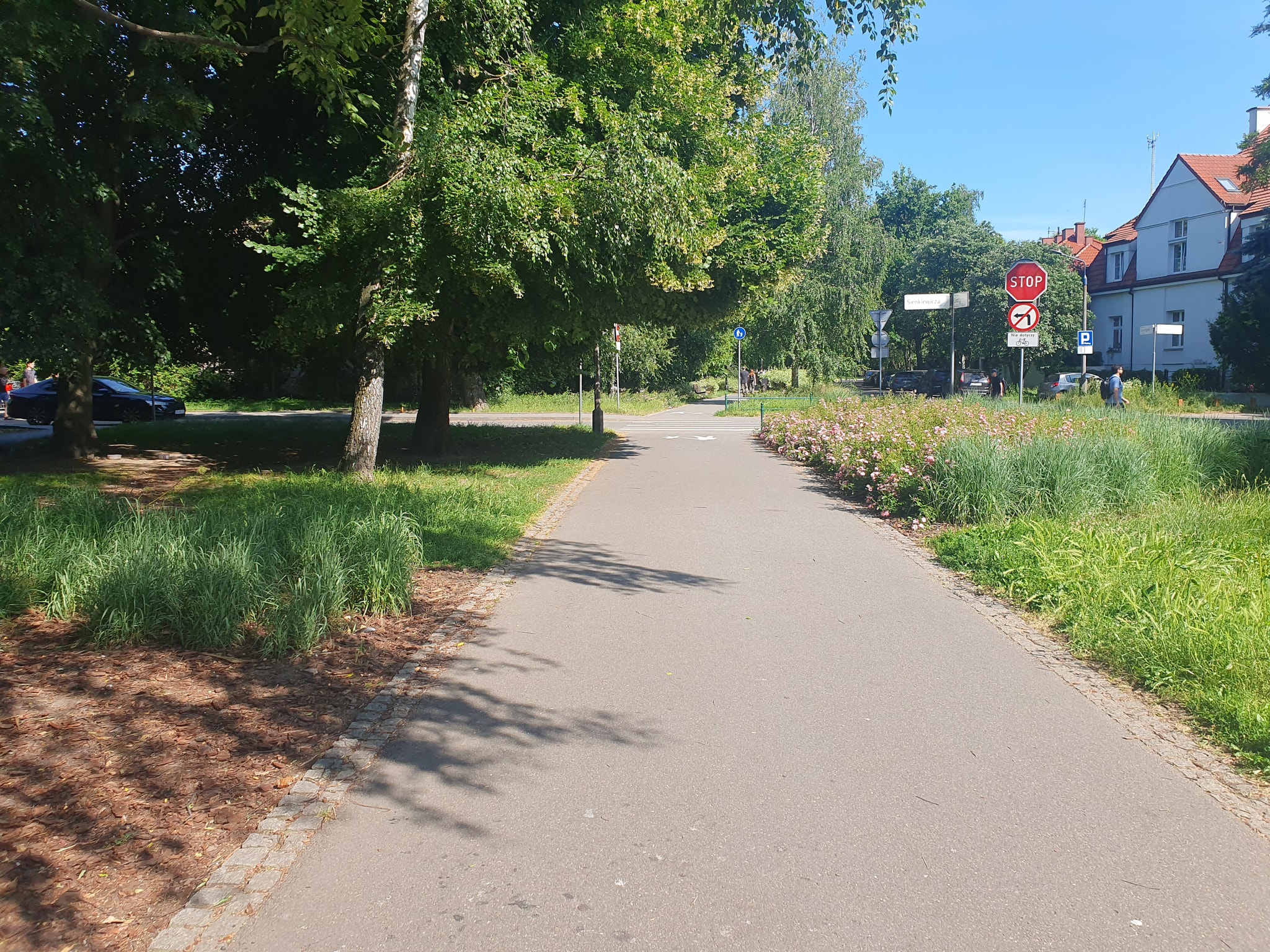 Ogrody Wawelu. Sztuka, ruch i natura w letniej odsłonie
