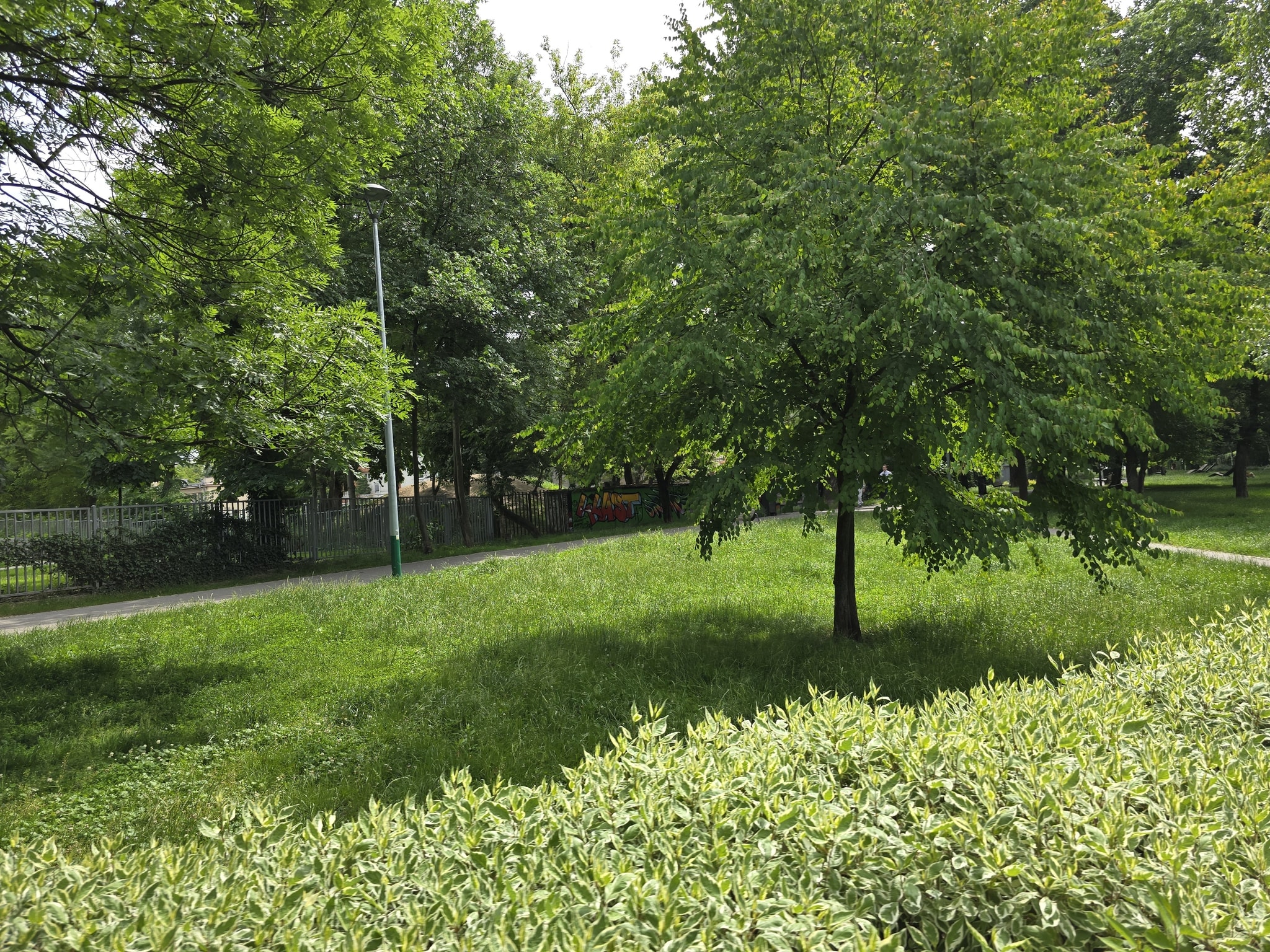 78 budek, tysiące pieczątek i prawdziwa zielona gorączka