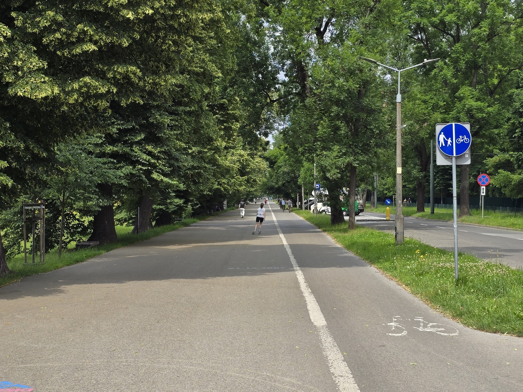 Maraton na rolkach wraca! Kto podbije Błonia?