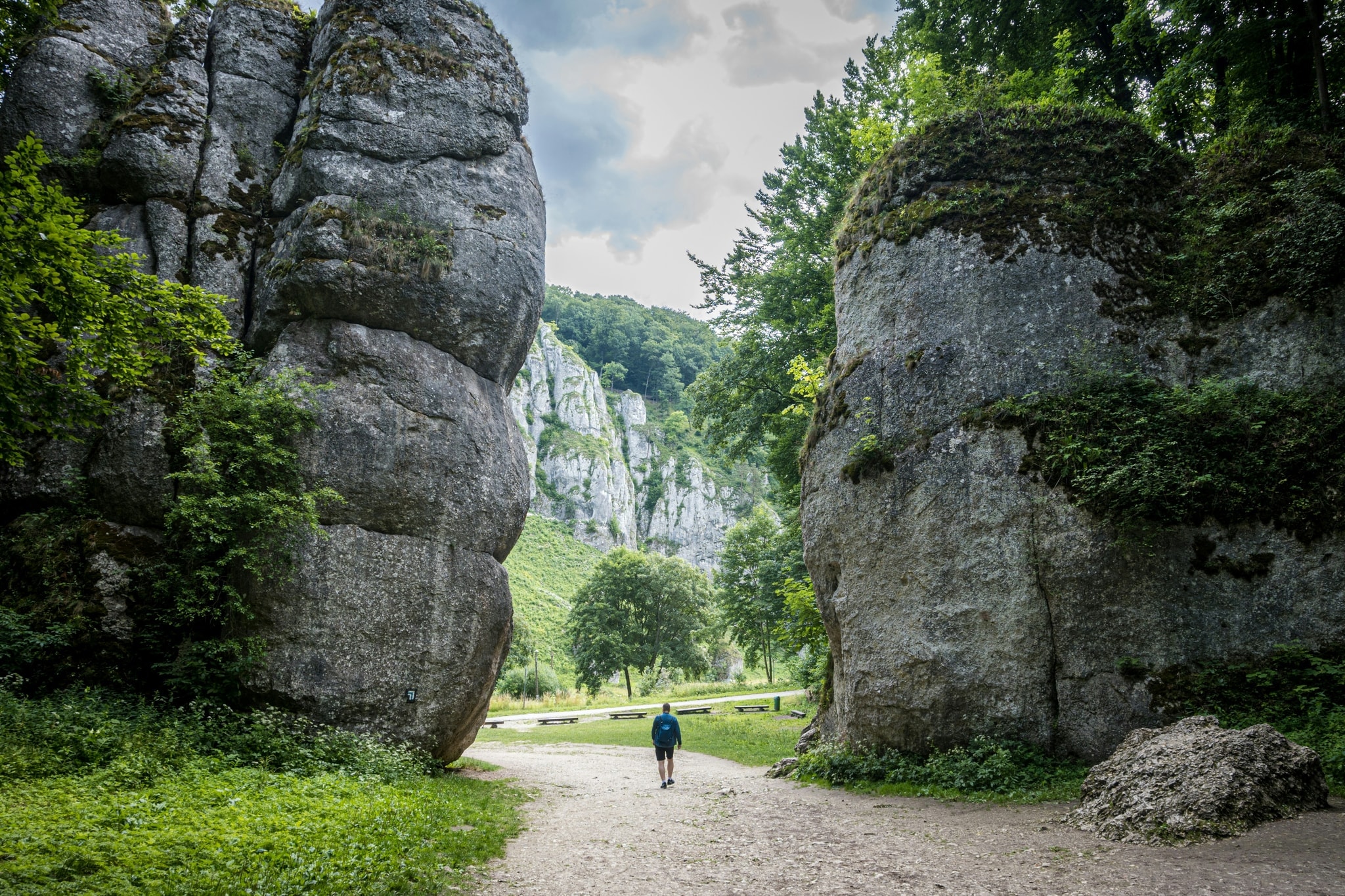 Skały, które pamiętają dinozaury. Bonarka pod lupą